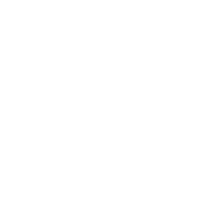logo_white
